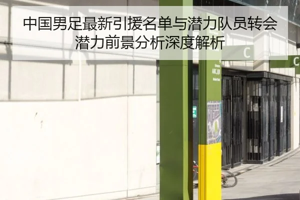 中国男足最新引援名单与潜力队员转会潜力前景分析深度解析