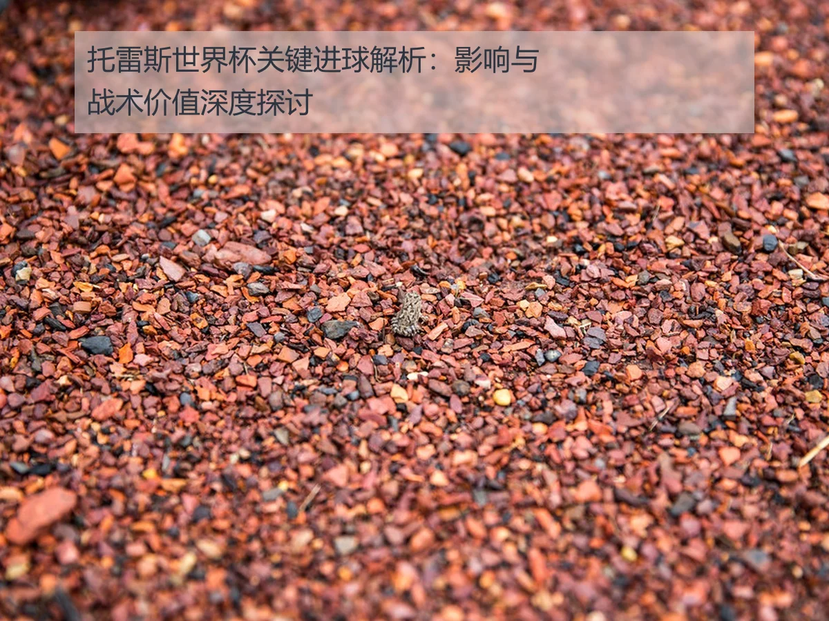 托雷斯世界杯关键进球解析:影响与战术价值深度探讨